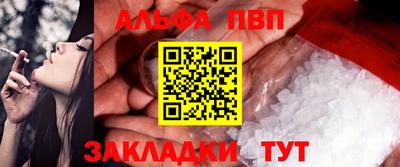 a pvp Камышлов