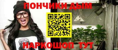 a pvp Камышлов