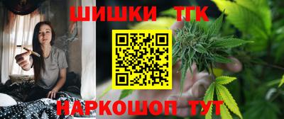 a pvp Камышлов