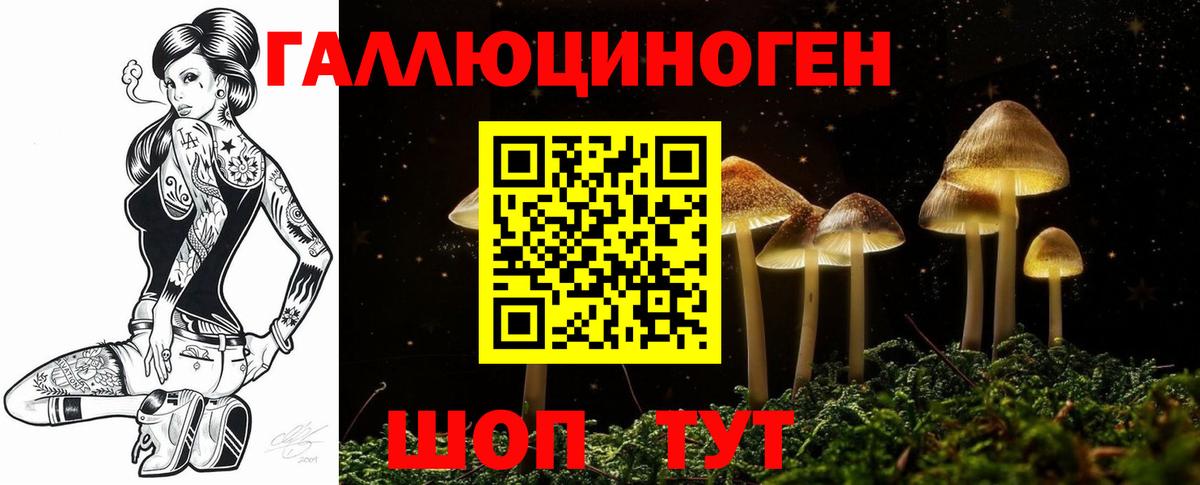 Псилоцибиновые грибы Psilocybine cubensis  Вход с VPN  Псилоцибиновые грибы мухоморы  Кудрово 
